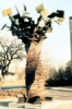 Sculpture USA -  TREE OF KNOWLEDGE